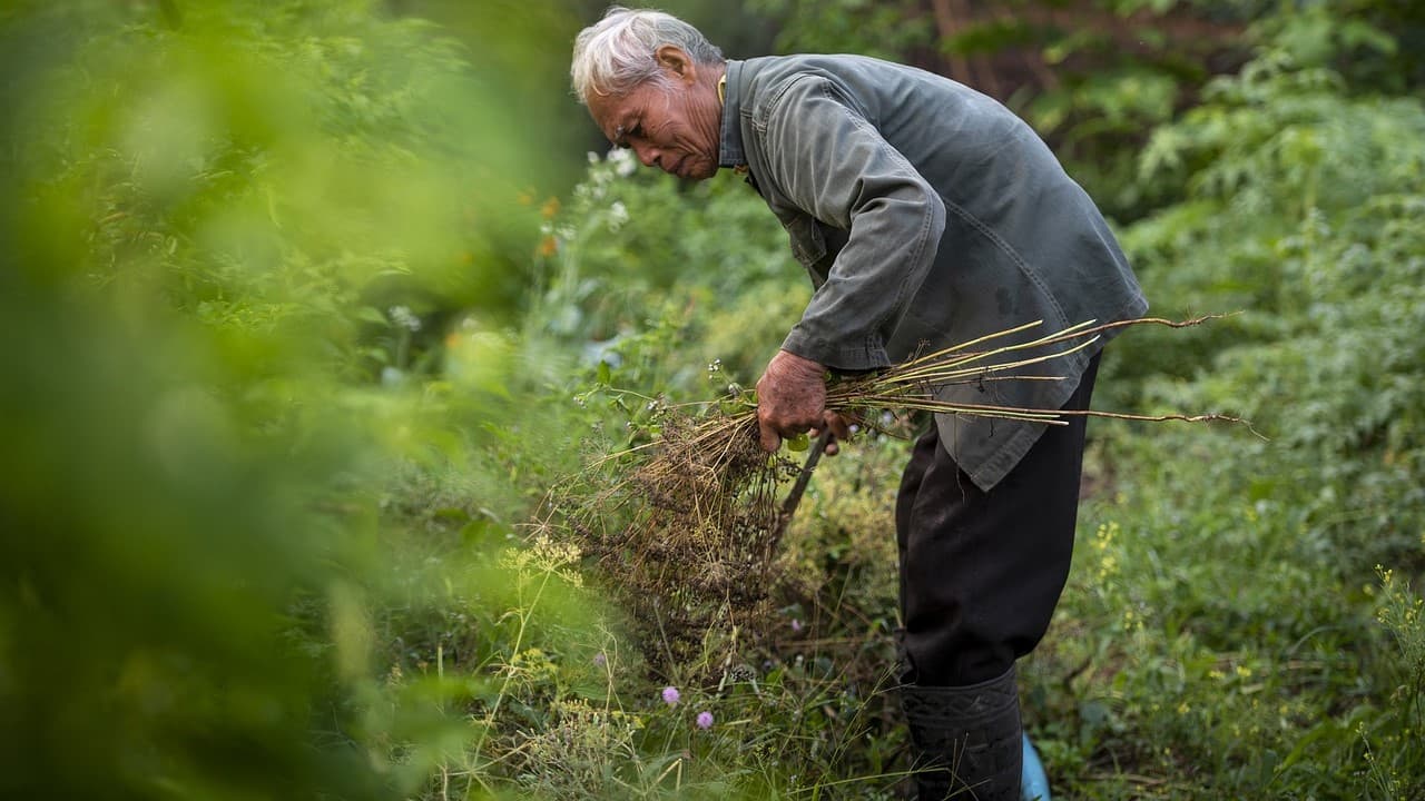 Valorização do Homem da Terra: Inovação e Sustentabilidade através da CPR Verde Digital