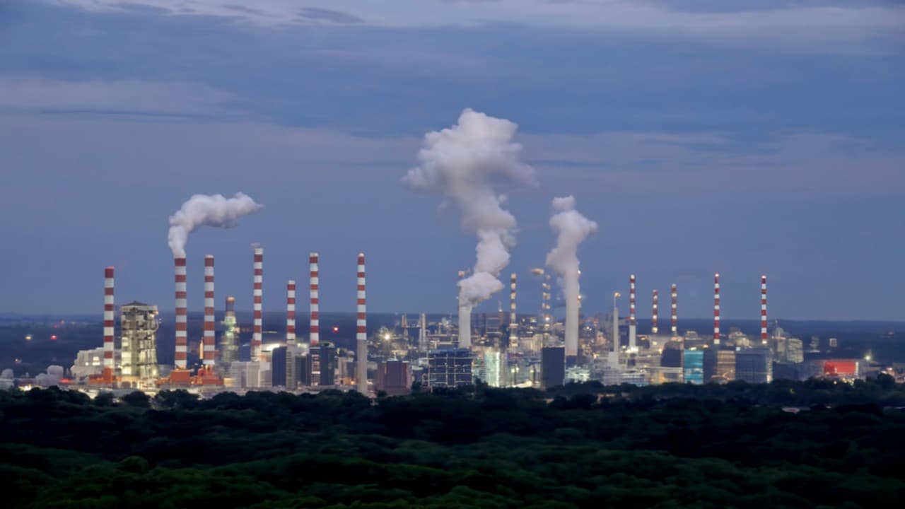 FCarbon: Inteligência Artificial Impulsionando a Gestão do Ciclo de Vida do Carbono e a Alta Qualidade na Remoção de CO2