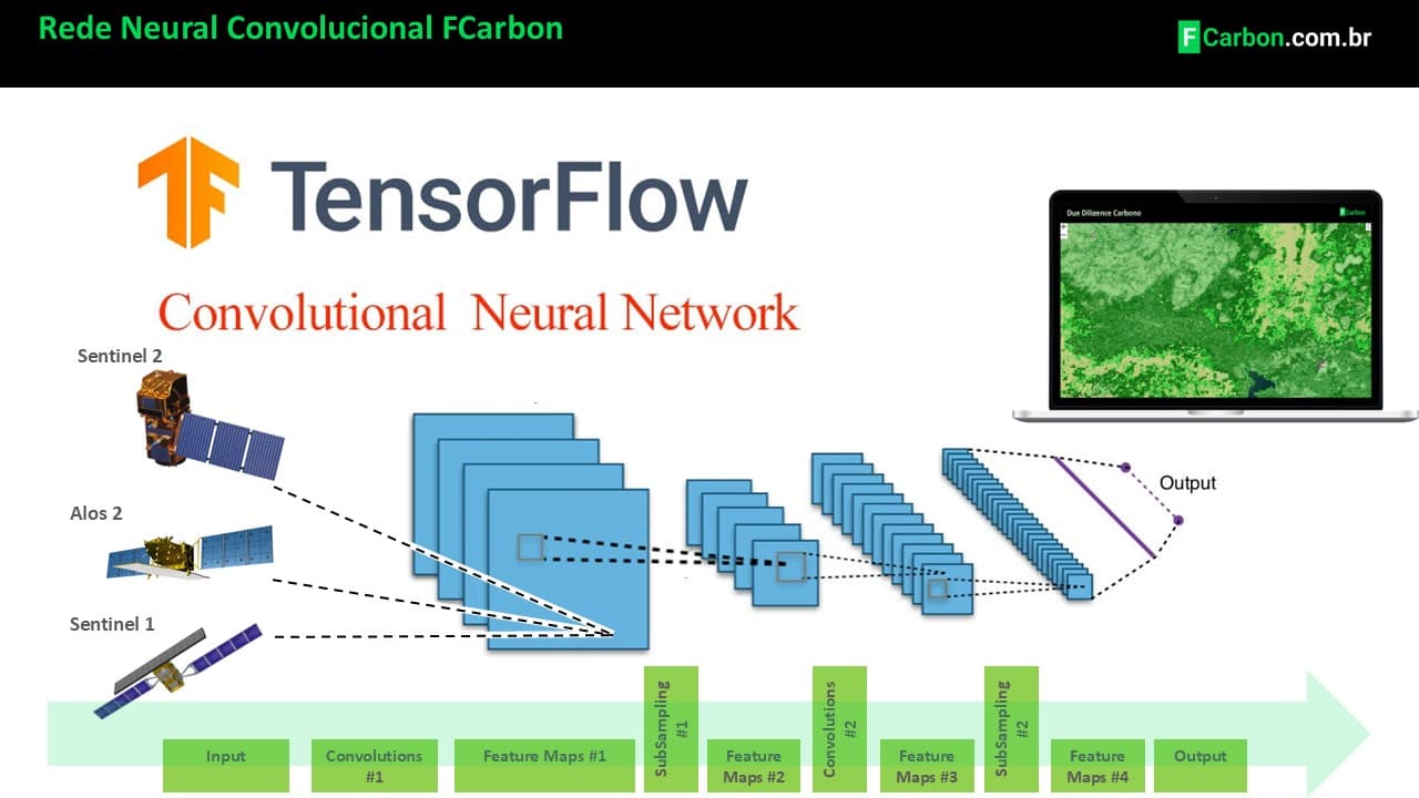 Inovação da Rede Neural Convolucional FCarbon na Predição de Estoques de Carbono em Florestas