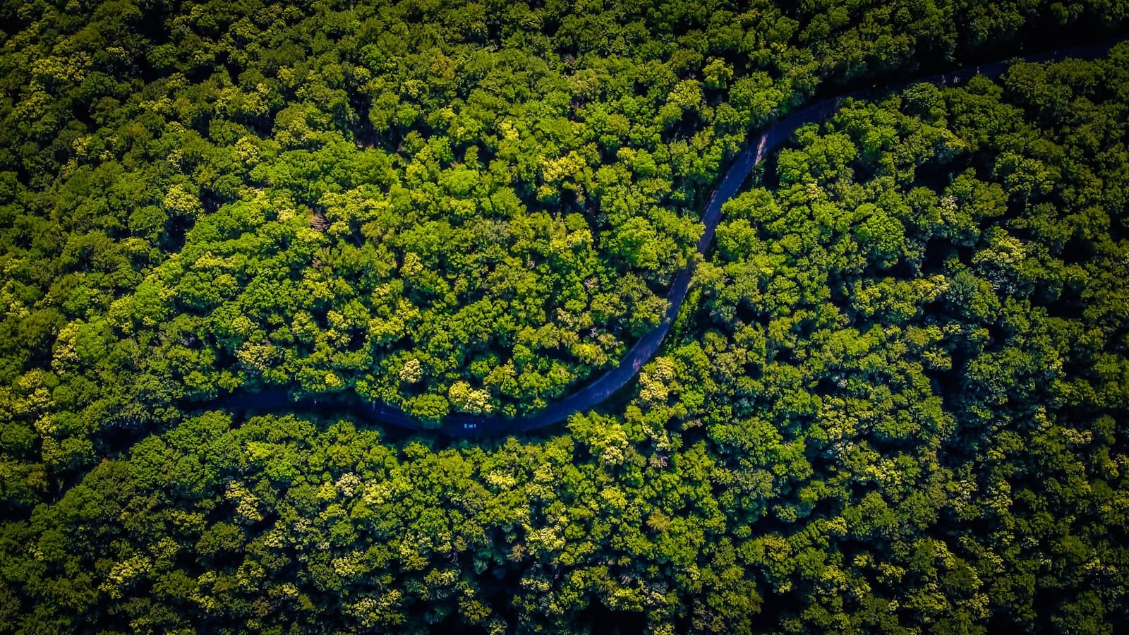 O Novo Marco do PSA em 2026: Transformando Biodiversidade em Ativos Auditáveis